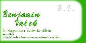 benjamin valek business card